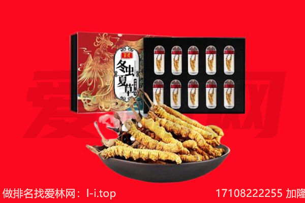 白城冬虫夏草回收