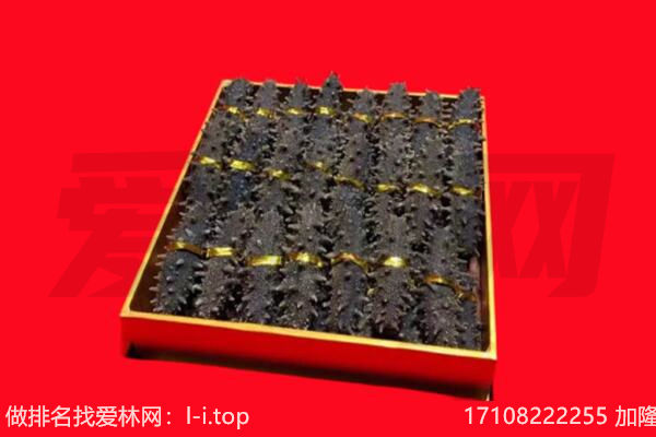 白城海参回收